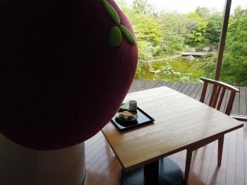 あやしい影・・・