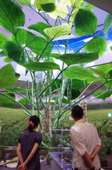 10倍あずきを見上げるお二人