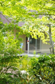 あずきさんはどこ? ヒント:写真中央です