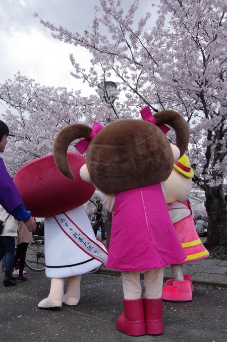 お花見?