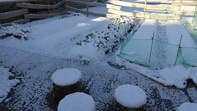 雪で寒そうなAzuki Sun Garden