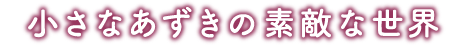 小さなあずきの、素敵な世界