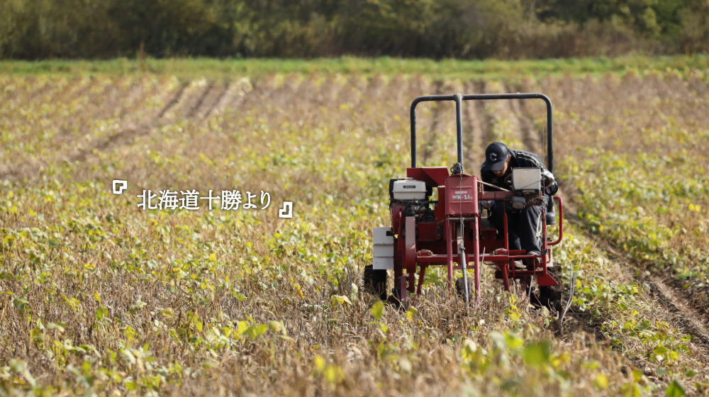 「北海道十勝より」