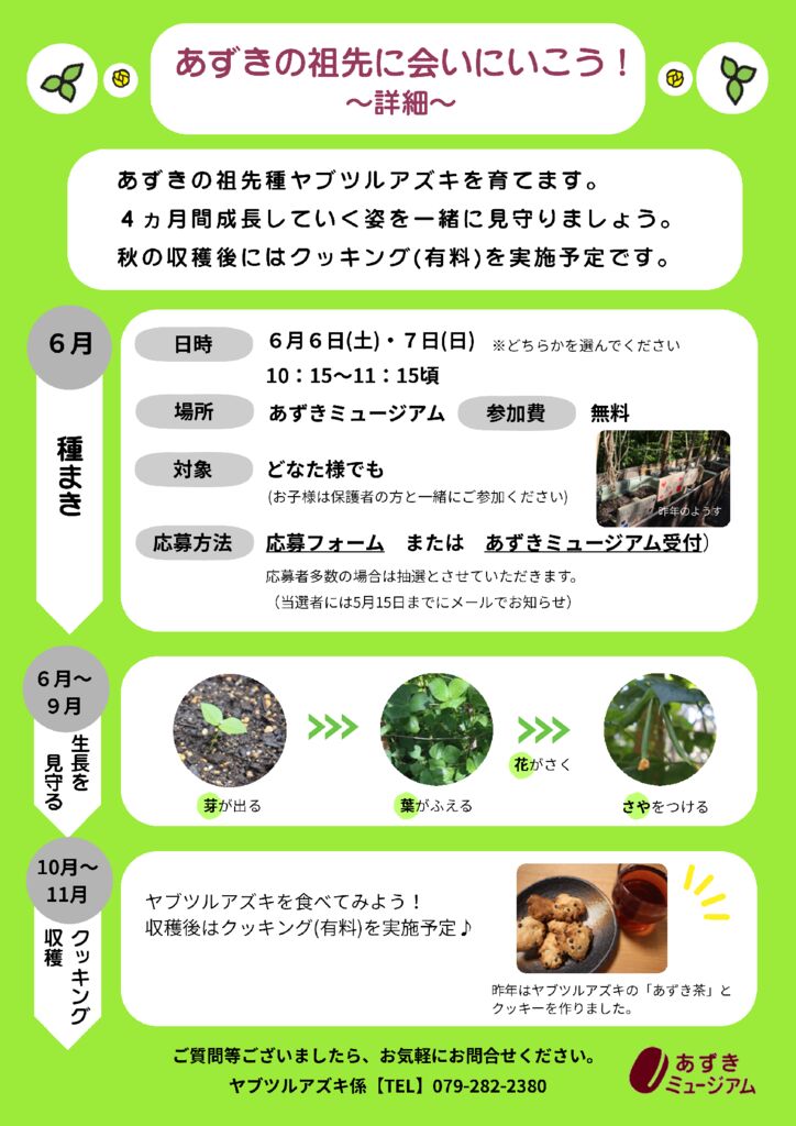 詳細のサムネイル